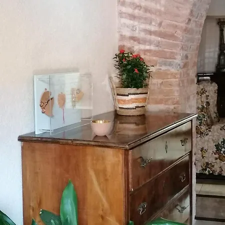 Eleonora 10 Min From Beaches * San Vero Milis